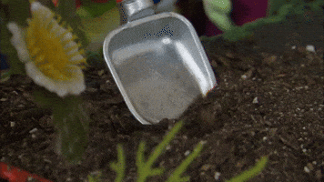 Digging