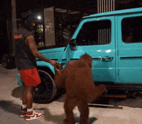 Confused Car GIF