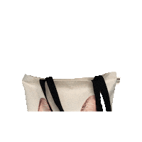 1bike1world bag 1bike1world peepingnala 1bike1worldbag Sticker