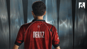 Counter Strike Esports GIF by BLAST