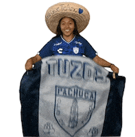 Liga Mx Cf Pachuca Sticker by Club Pachuca Tuzos