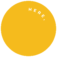 1-800-SUNNY sunny anywhere 1800 1800sunny Sticker