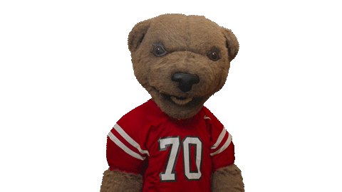 cornell university touchdown Sticker