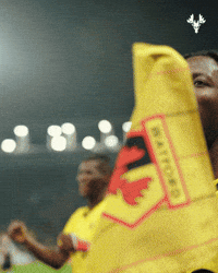Lets Go Yes GIF by Watford Football Club