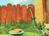 Cookie