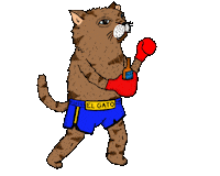 Fun Cartoon Sticker by huyhasbeen