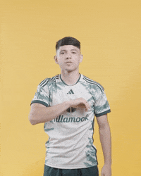 Mls David GIF by Timbers