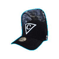 Baseball Horse Sticker by CapicheCaps