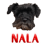 Dog Nala Sticker