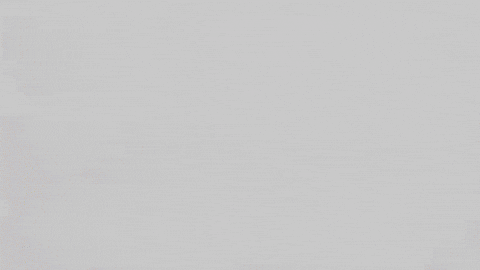 c2m020 meme giphystrobetesting giphycreatortest truth GIF