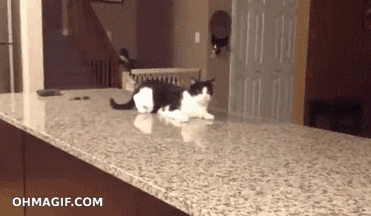 crazy GIF