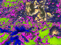art bunny GIF by MFD