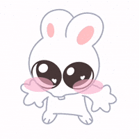 Skz Stay GIF