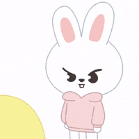 Skz What GIF
