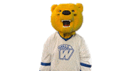 Bear Dab Sticker by Western New England University