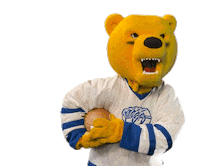Football Bear Sticker by Western New England University
