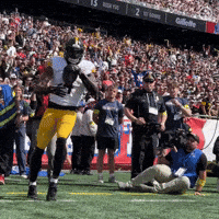 Excited Celebration GIF by Pittsburgh Steelers