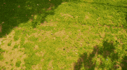 Sad Stop Motion GIF by Pure Noise Records