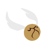 Harry Potter Sticker