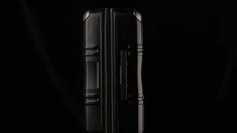 travelcase giphyupload GIF