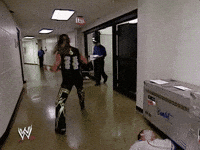 shawn michaels wrestling GIF by WWE
