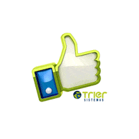 TrierSistemas love like coracao software Sticker