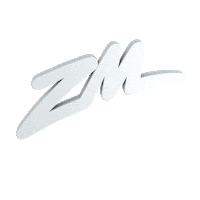 New Zealand Logo Sticker by ZM