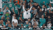 National Football League GIF by NFL