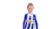 Scherpenzeel Blauwwit Sticker by De Mediatuin