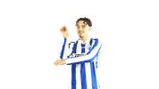 Blauwwit Sticker by Voetbalvereniging Scherpenzeel