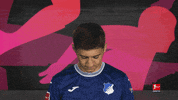 Tsg Hoffenheim Football GIF by Bundesliga