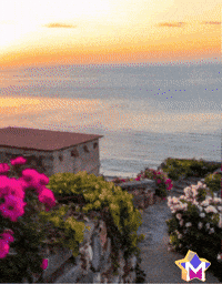 Feliz Sol GIF by Murcianys LLC