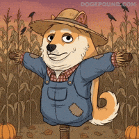 Shiba Inu Halloween GIF by Doge Pound