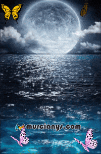 Amigos Playa GIF by Murcianys LLC