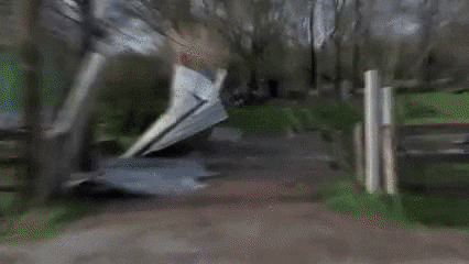 dog sup GIF