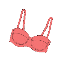 Pink Lingerie Sticker