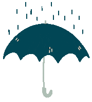 Fall Rain Sticker