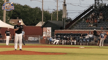EvansvilleOtters baseball pitcher evansville otters GIF