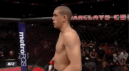 ufc 223 sport GIF by UFC