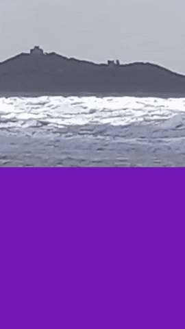 Simongip giphygifmaker GIF