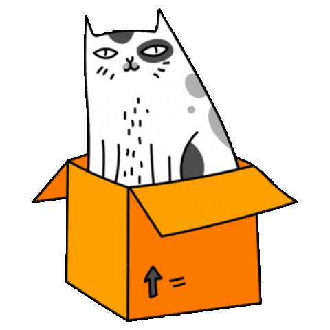 Cat Kitten Sticker by Villa Pet Salvador