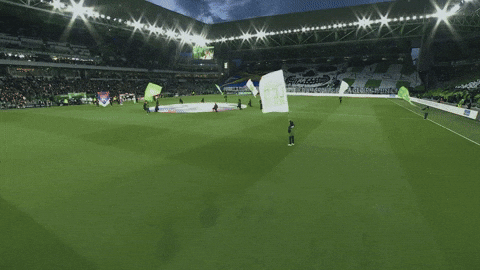 Animation Fans GIF by AS Saint-Étienne