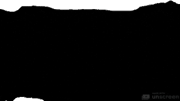 Dance Dancing GIF by burch&burch