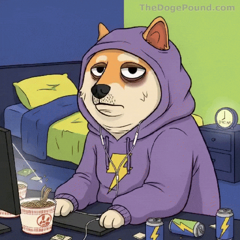 Tired Late Night GIF by Doge Pound