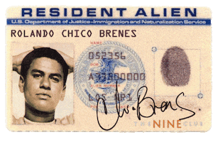 Chico GIF by The Nine Club