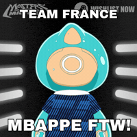France Football GIF by Masters of Mayhem