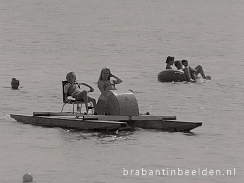 Summer Water GIF by BrabantinBeelden