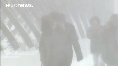 Snow Wind GIF by euronews