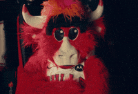 Benny The Bull Basketball GIF by Chicago Bulls