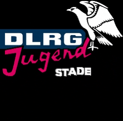 Transparenz GIF by DLRG Jugend Stade
